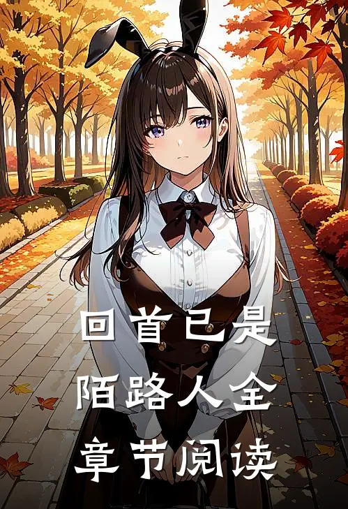 回首已是陌路人全章节阅读