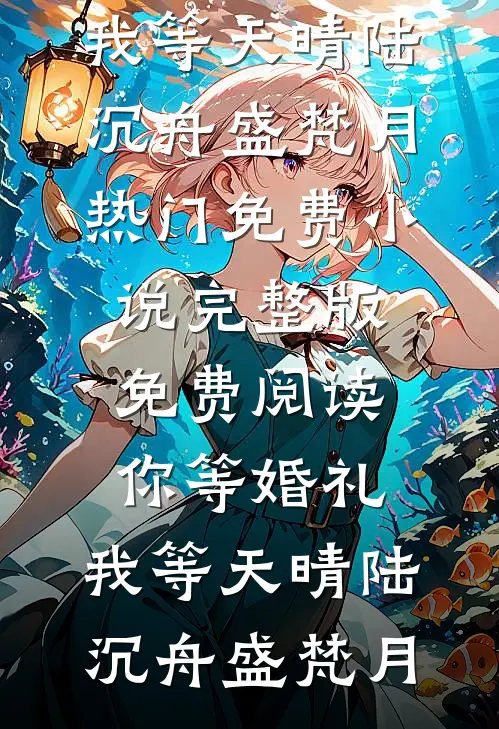 你等婚礼，我等天晴(陆沉舟盛梵月)热门免费小说_完整版免费阅读你等婚礼，我等天晴(陆沉舟盛梵月)