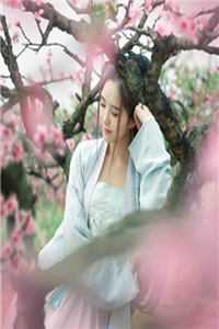 逆流而上：的炸鸡店抖音热门小说