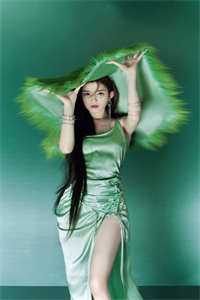 被退婚后，我成了帝王的心尖宠萧琮璋沈玉芙全局