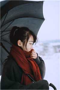 完整阅读将军，孤本红妆