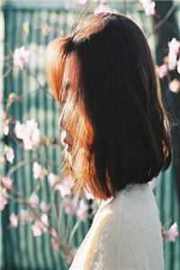 位居省委，开局被妻子举报完结+番外