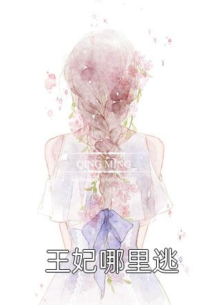全章节江怜月辰王小说名字