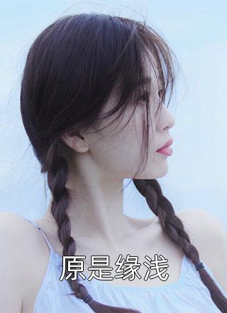 医道官途之绝对权力畅销小说推荐