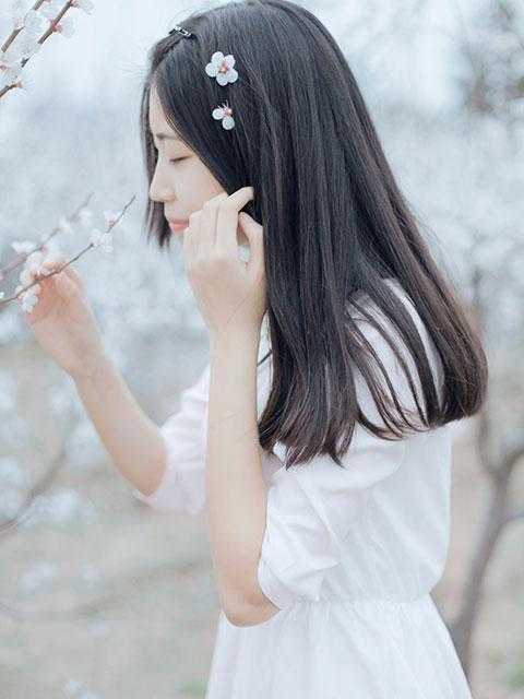 抗战：从淞沪保卫战开始爆款宝藏