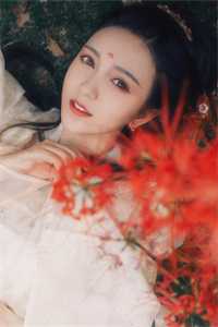 位居省委，开局被妻子举报无删减版