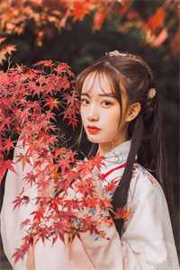 长篇小说阅读解除婚约后，那人早早来求娶她