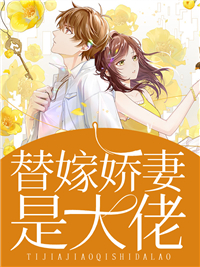 畅销书籍官嫂