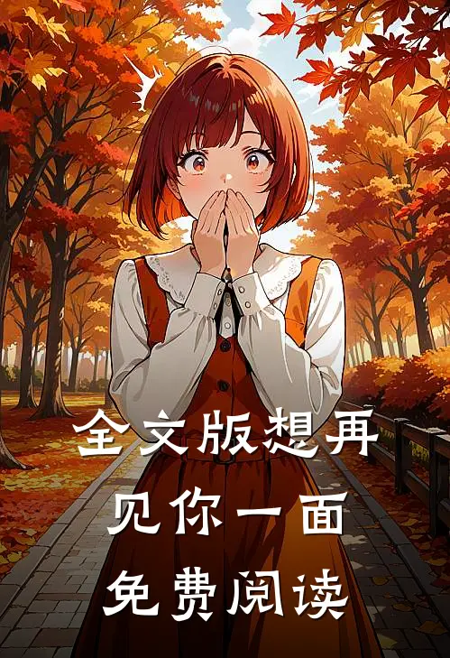 全文版想再见你一面免费阅读