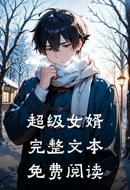 超级女婿完整文本免费阅读