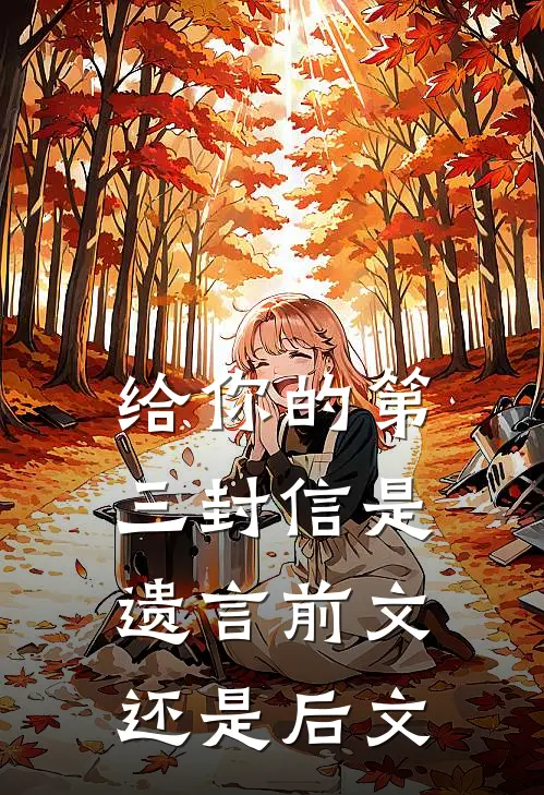 给你的第三封信是遗言前文还是后文