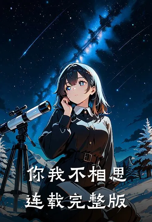 你我不相思连载完整版