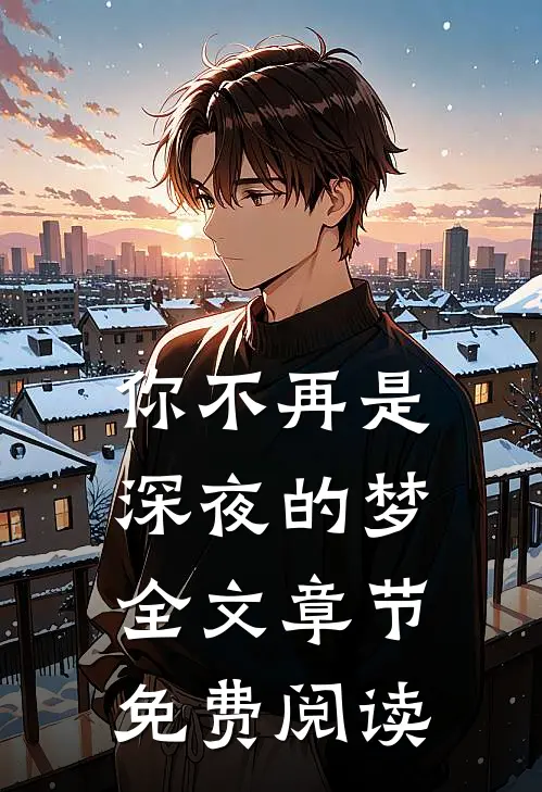 你不再是深夜的梦全文章节免费阅读