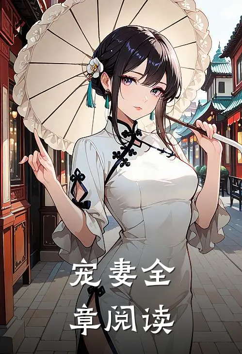 宠妻全章阅读