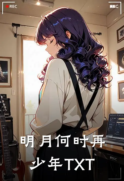 明月何时再少年TXT