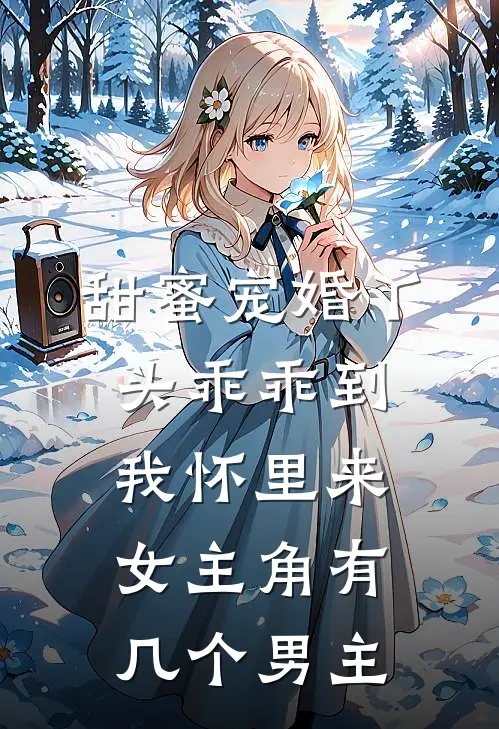 甜蜜宠婚丫头乖乖到我怀里来女主角有几个男主