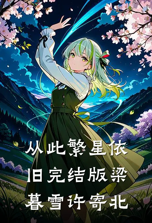 从此繁星依旧完结版梁暮雪许寄北