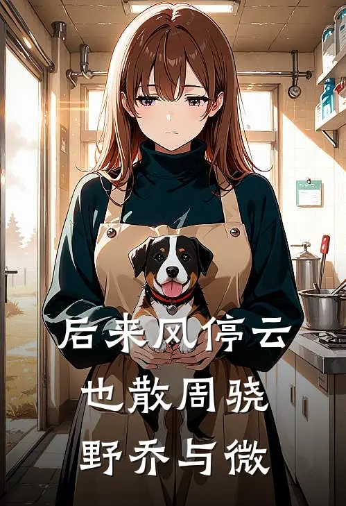 后来风停云也散周骁野乔与微