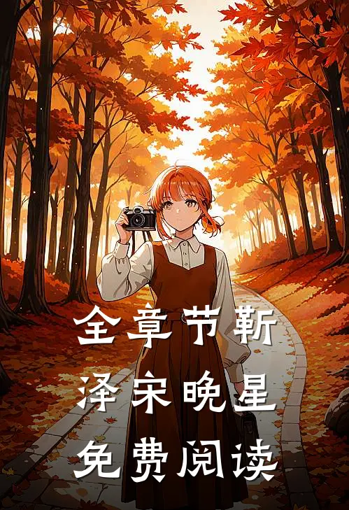 全章节靳泽宋晚星免费阅读