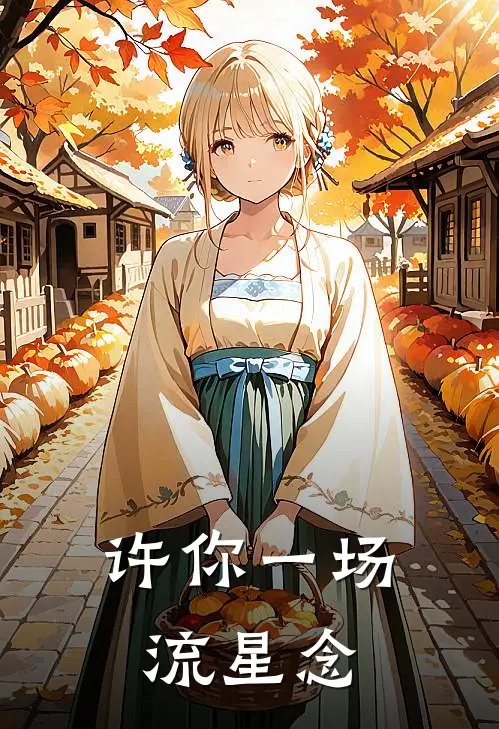 许你一场流星念