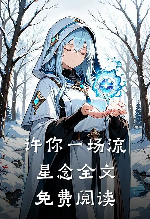 许你一场流星念全文免费阅读