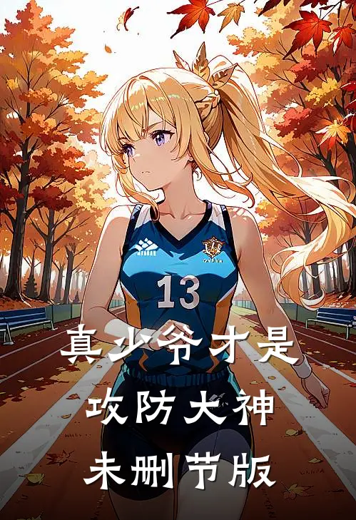 真少爷才是攻防大神未删节版