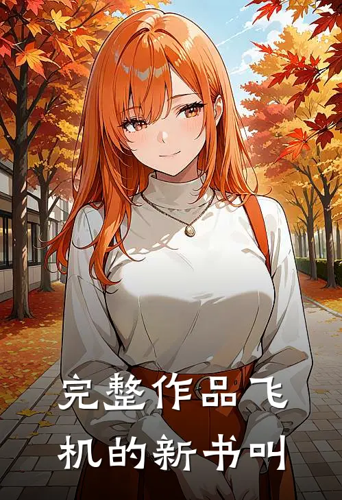 完整作品飞机的新书叫