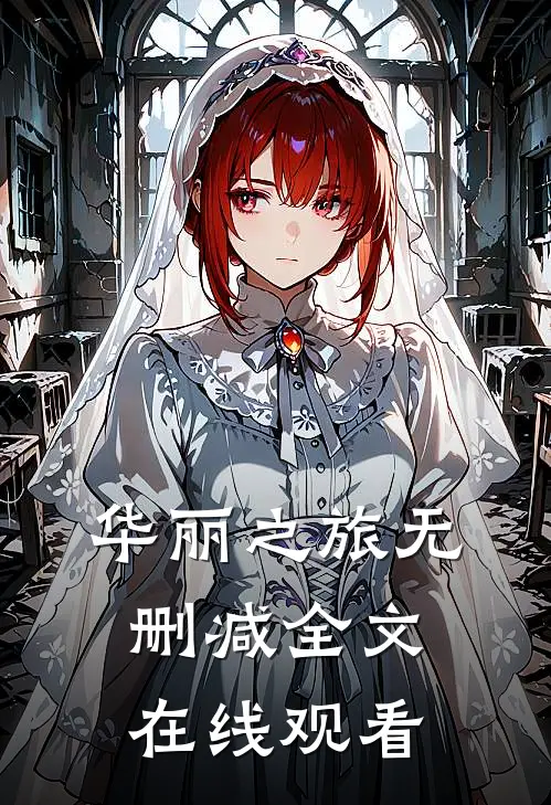 华丽之旅无删减全文在线观看