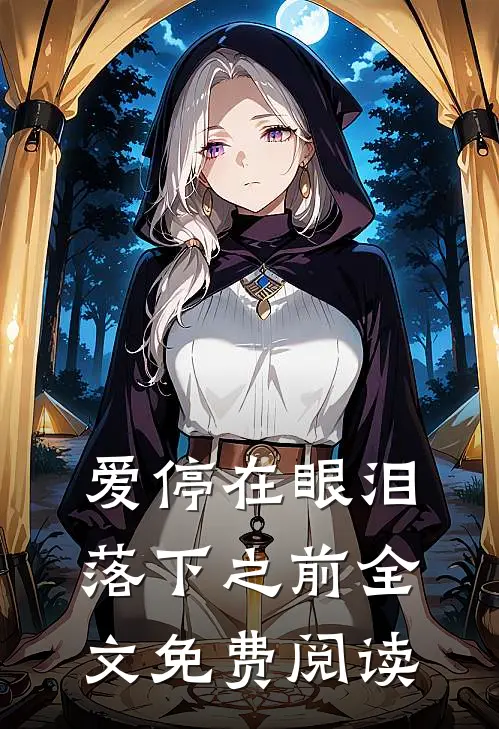 爱停在眼泪落下之前全文免费阅读