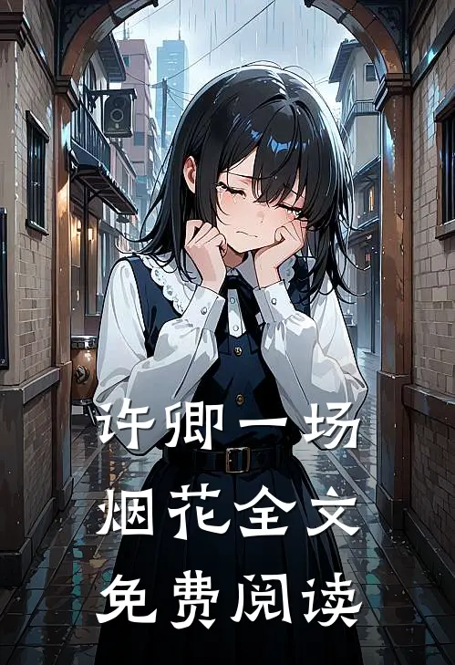 许卿一场烟花全文免费阅读