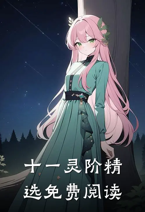 十一灵阶精选免费阅读