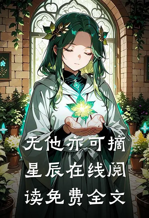 无他亦可摘星辰在线阅读免费全文
