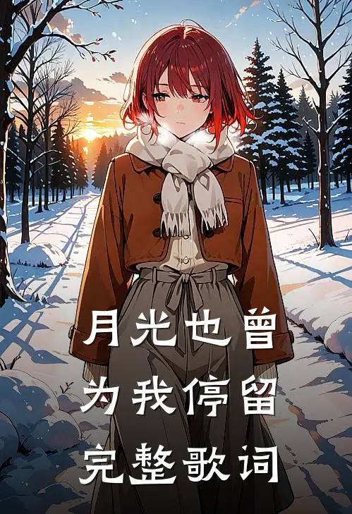 月光也曾为我停留完整歌词