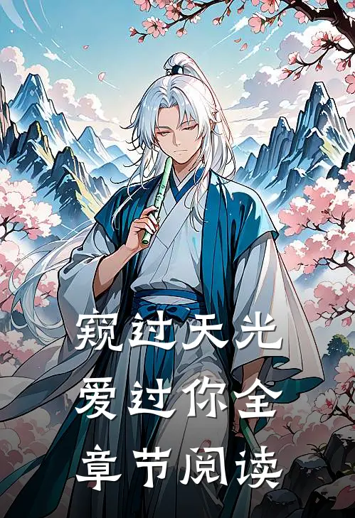 窥过天光爱过你全章节阅读