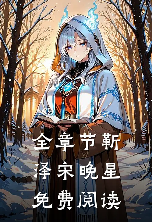 全章节靳泽宋晚星免费阅读