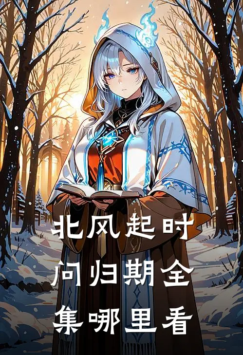 北风起时问归期全集哪里看