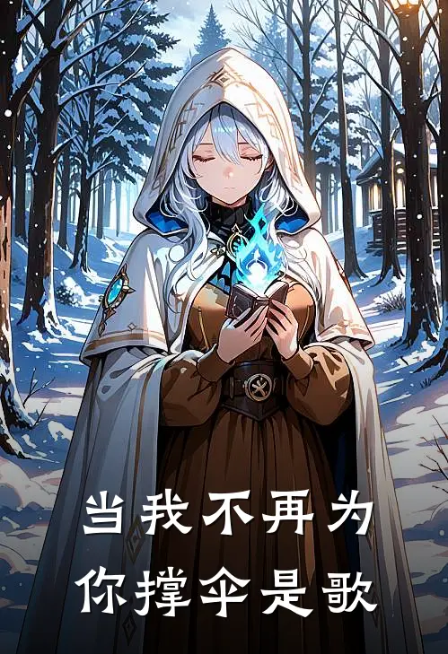 当我不再为你撑伞是歌
