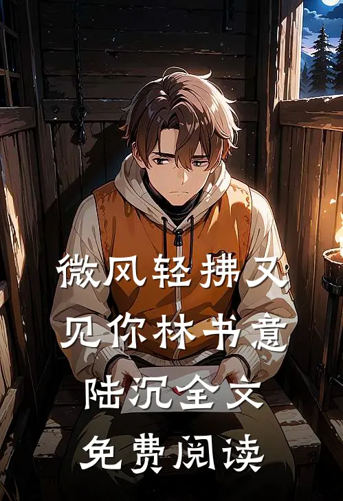 微风轻拂又见你林书意陆沉全文免费阅读