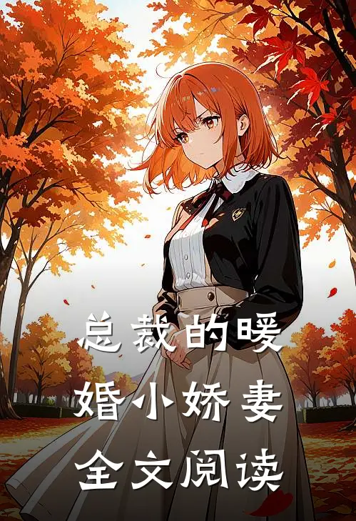 总裁的暖婚小娇妻全文阅读