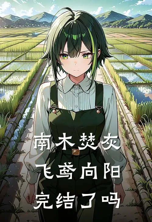 南木焚灰，飞鸢向阳完结了吗