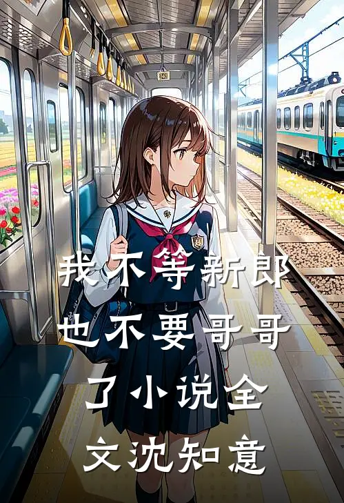 我不等新郎，也不要哥哥了小说全文沈知意
