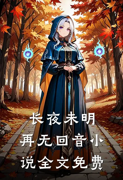 长夜未明，再无回音小说全文免费
