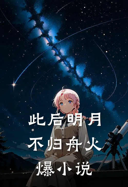 此后明月不归舟火爆小说