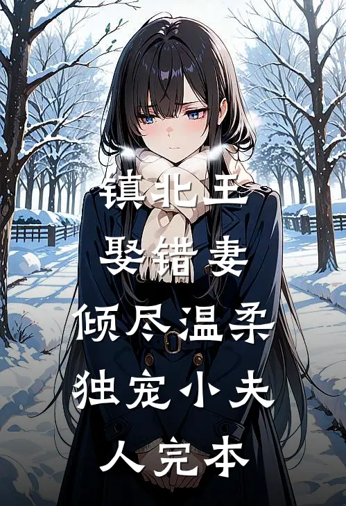 镇北王娶错妻，倾尽温柔独宠小夫人完本