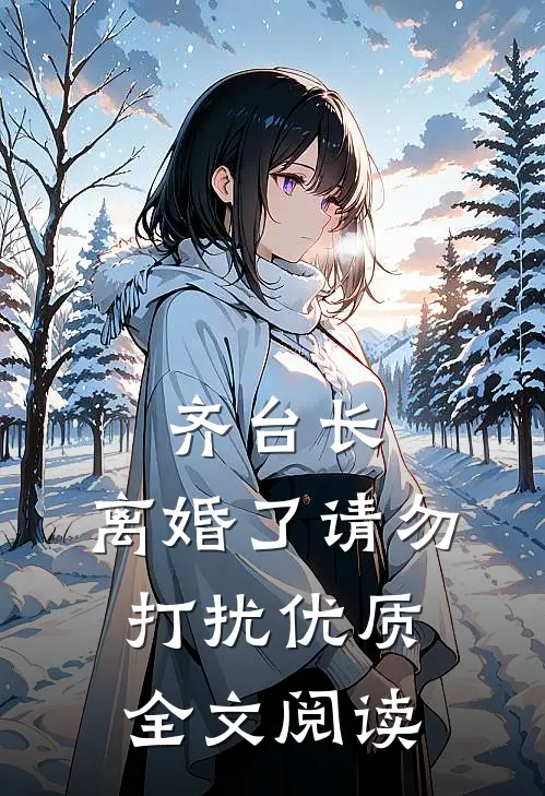 齐台长，离婚了请勿打扰优质全文阅读