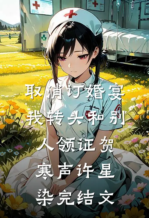 取消订婚宴，我转头和别人领证贺寒声许星染完结文