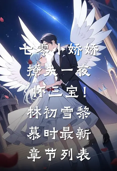 七零小娇娇，撩夫一夜怀三宝！林初雪黎慕时最新章节列表