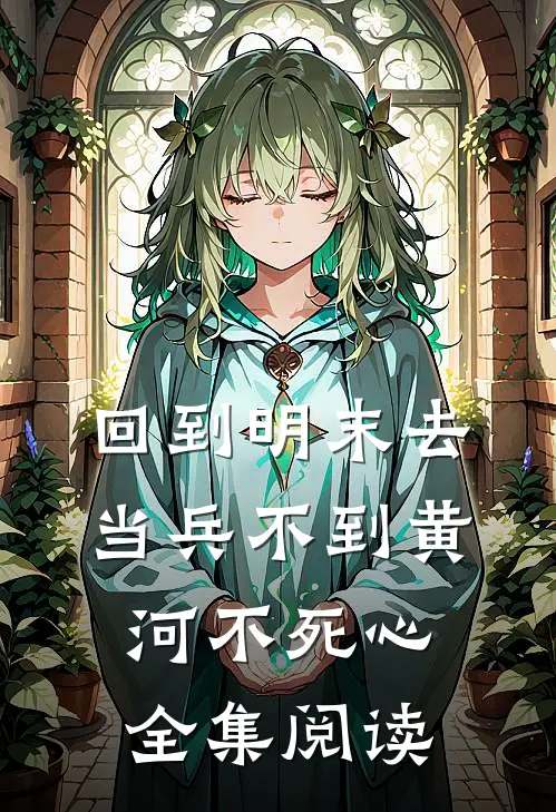 回到明末去当兵 不到黄河不死心全集阅读