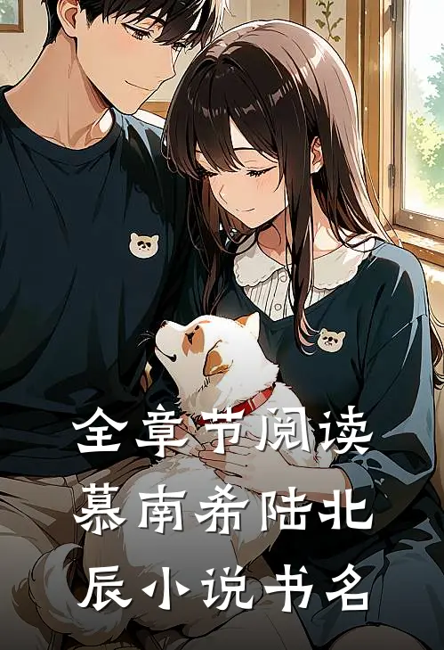 全章节阅读慕南希陆北辰小说书名