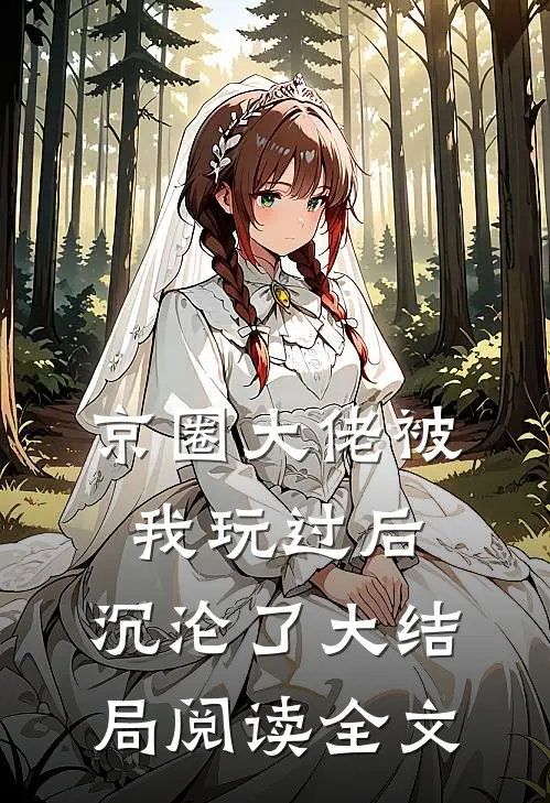 京圈大佬被我玩过后,沉沦了大结局阅读全文